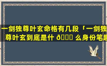 一剑独尊叶玄命格有几段「一剑独尊叶玄到底是什 🐝 么身份笔趣阁」